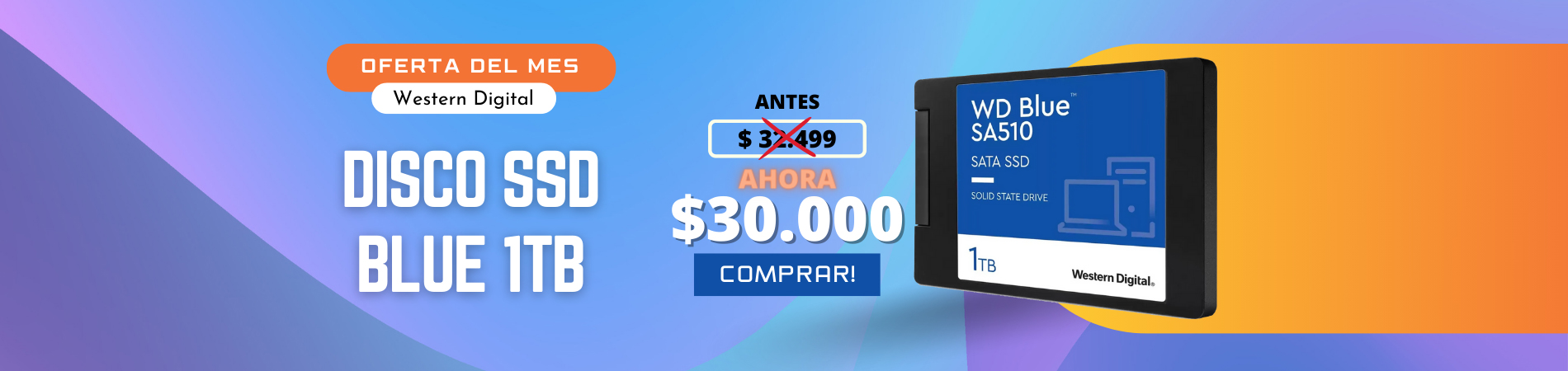 Western Digital Disco SSD Blue 1TB Oferta del mes